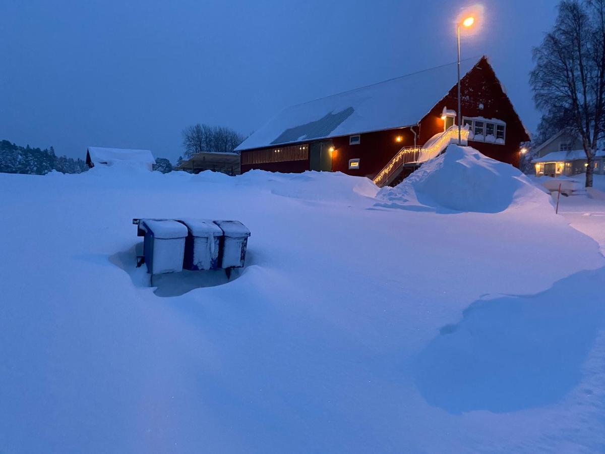 Newly Built Apartment Next Door To The Sheep Norrfjarden Экстерьер фото