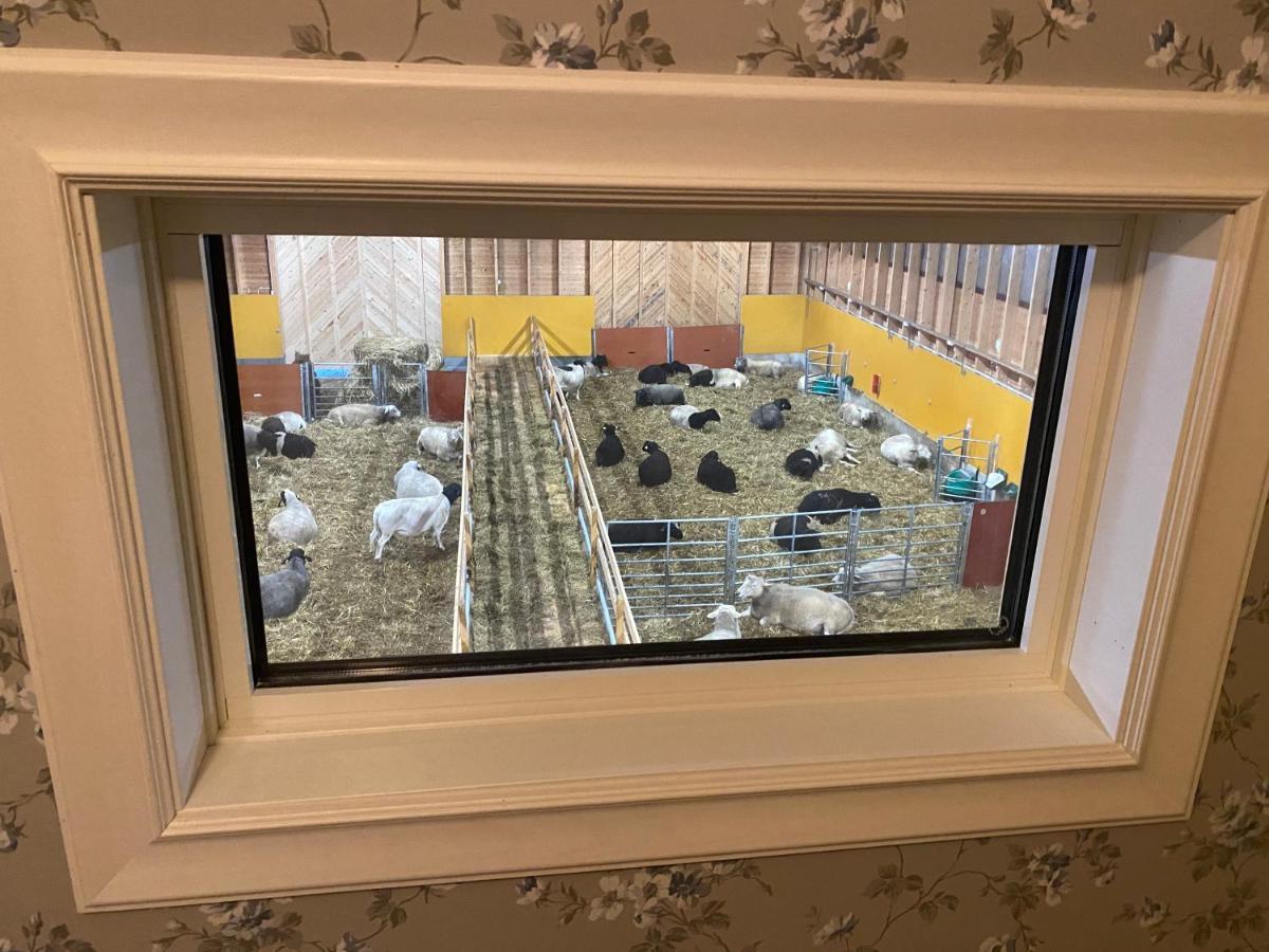 Newly Built Apartment Next Door To The Sheep Norrfjarden Экстерьер фото