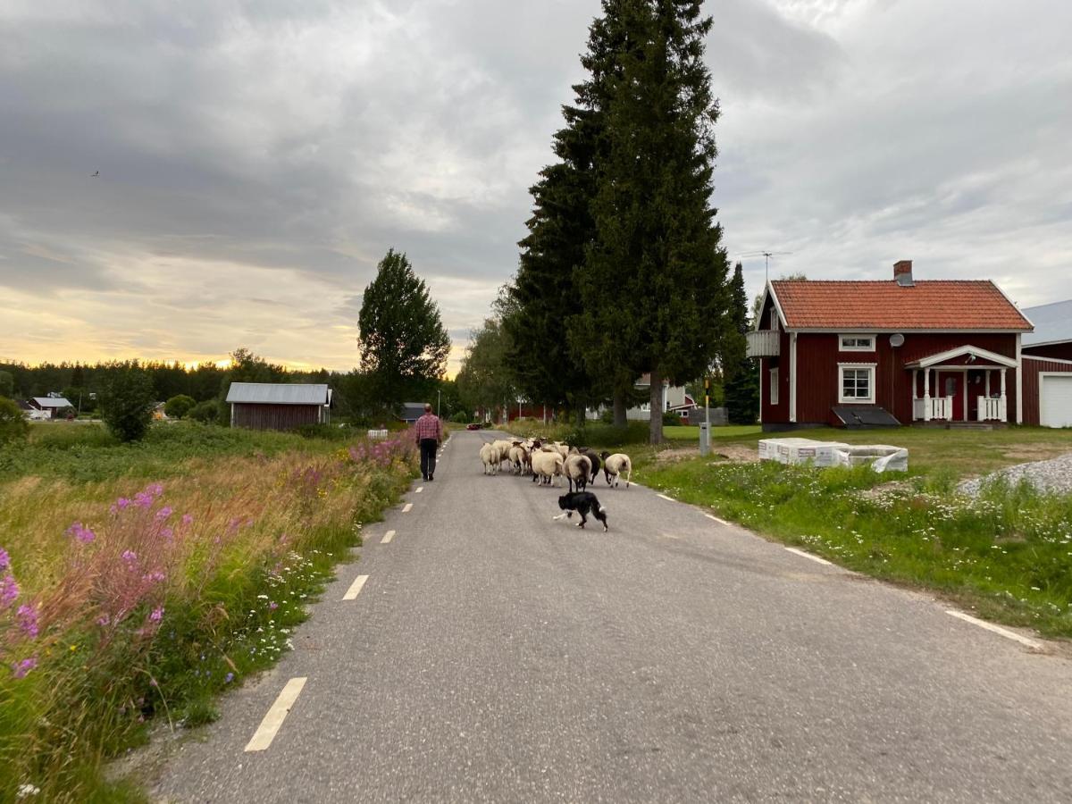 Newly Built Apartment Next Door To The Sheep Norrfjarden Экстерьер фото